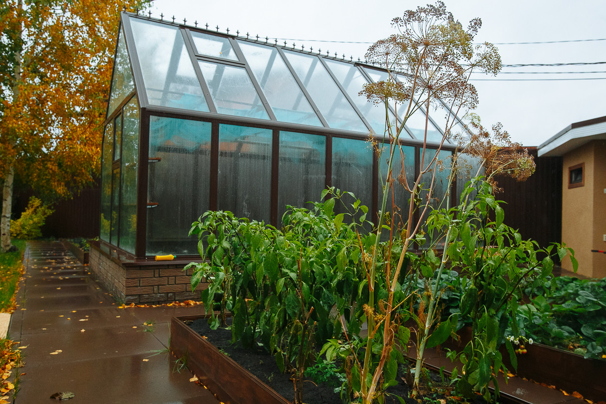 Сад с румянцем