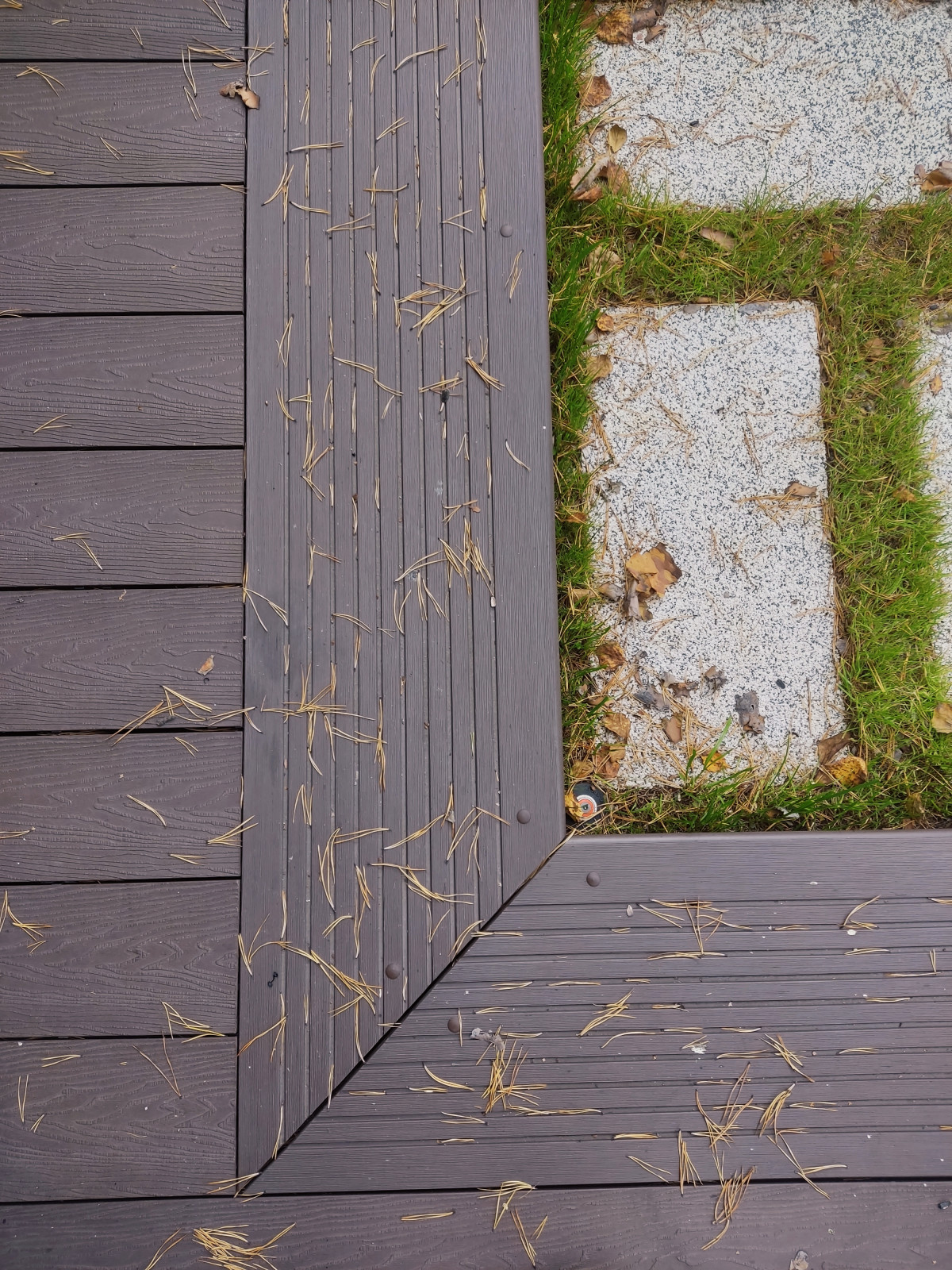 Денис Светлый Яр