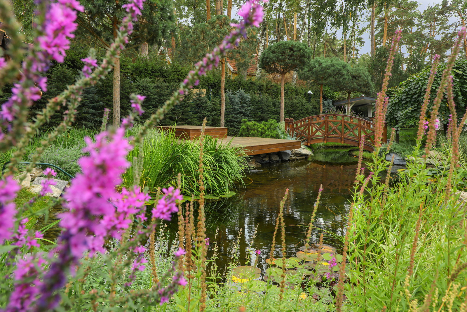 Коттеджный сад в Барвихе (дизайн и исполнение компании "Imperial Garden")