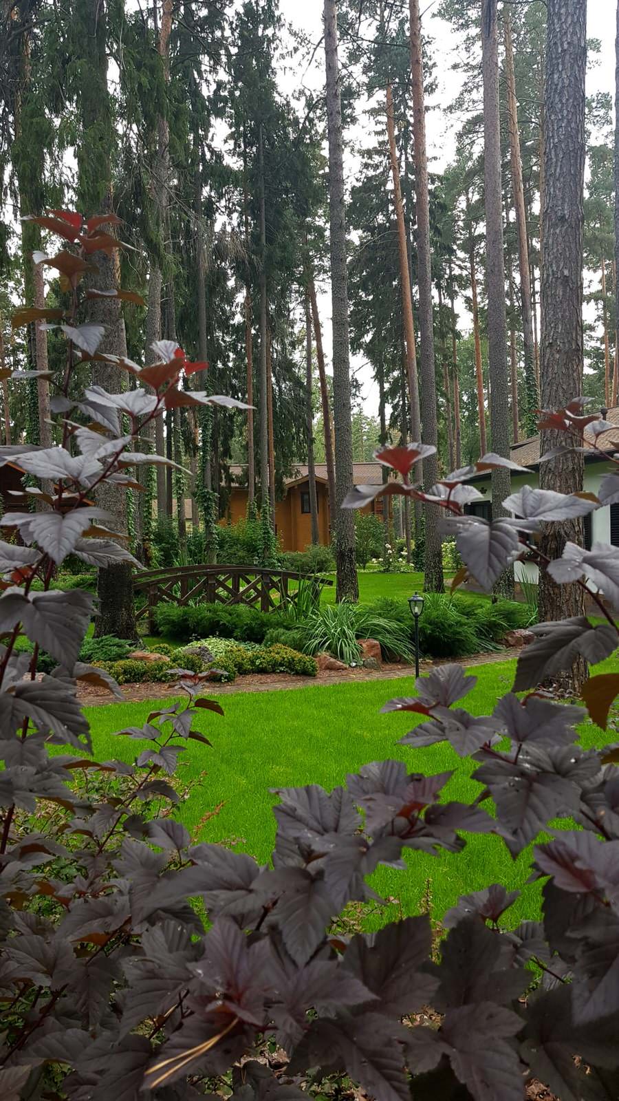 «Пряничный домик» в сосновом бору