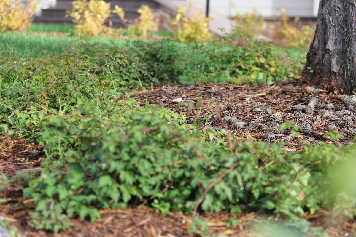 Особый статус