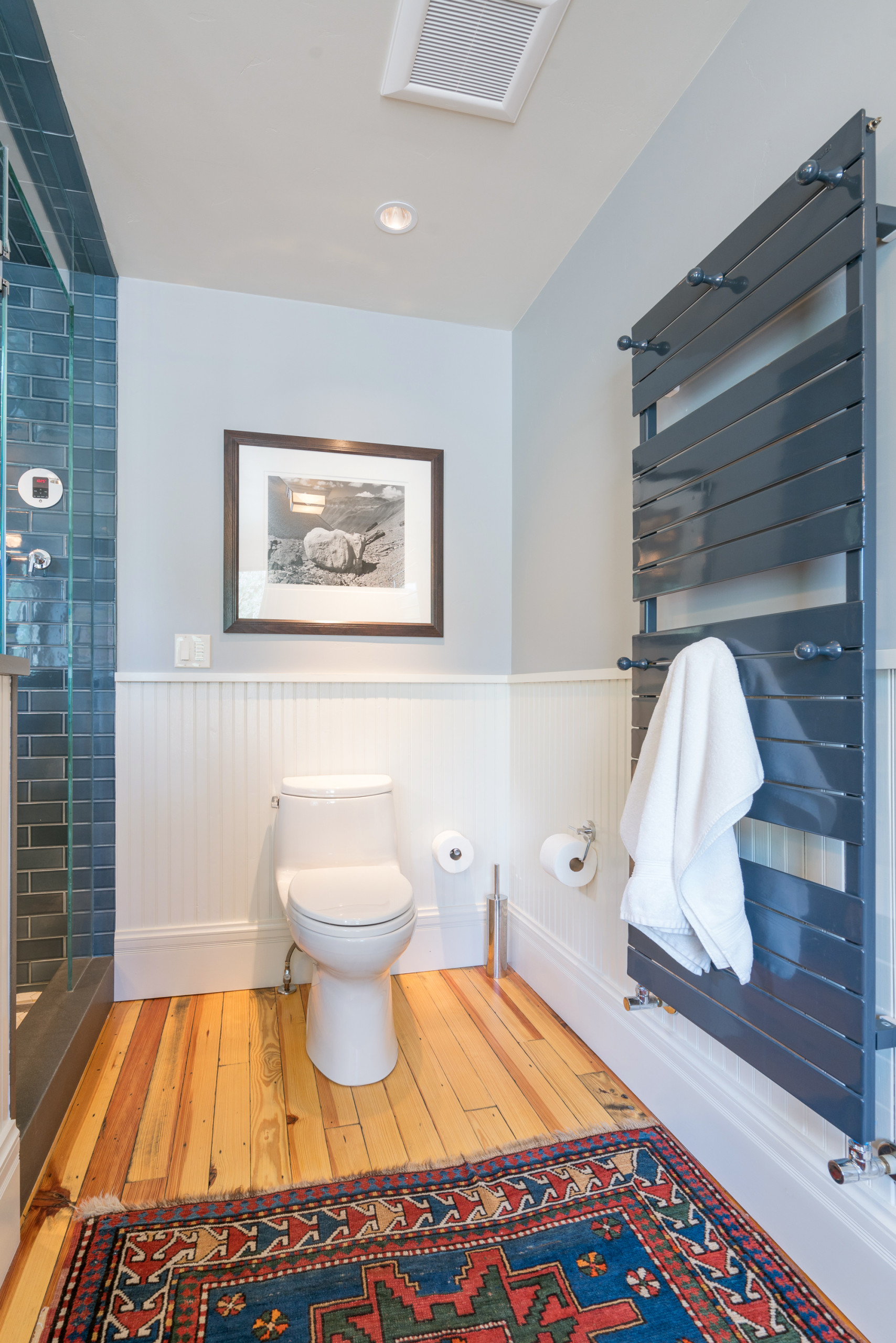 Telluride Remodel