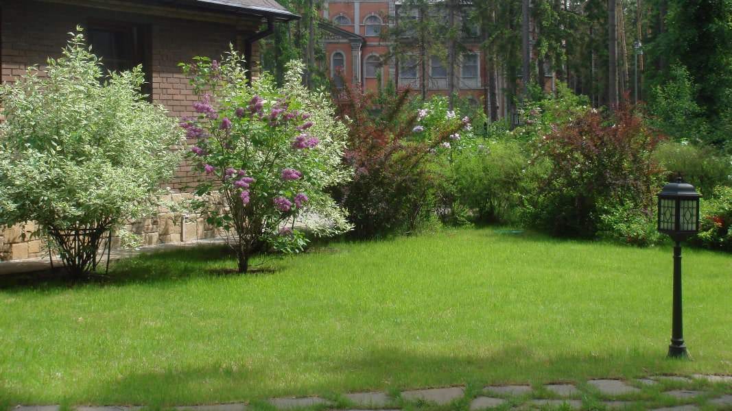 Рублево-Успенское шоссе. 52 сотки.