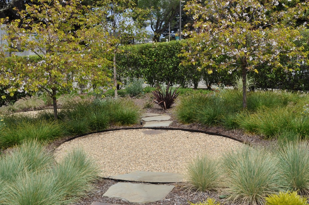 Design ideas for a contemporary backyard garden in San Francisco with gravel.