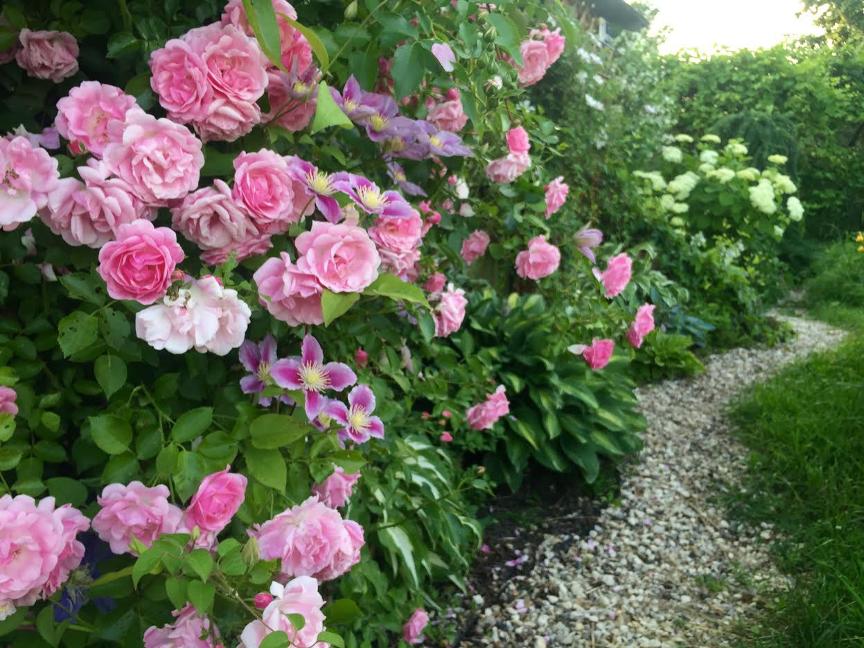 Романтический сад