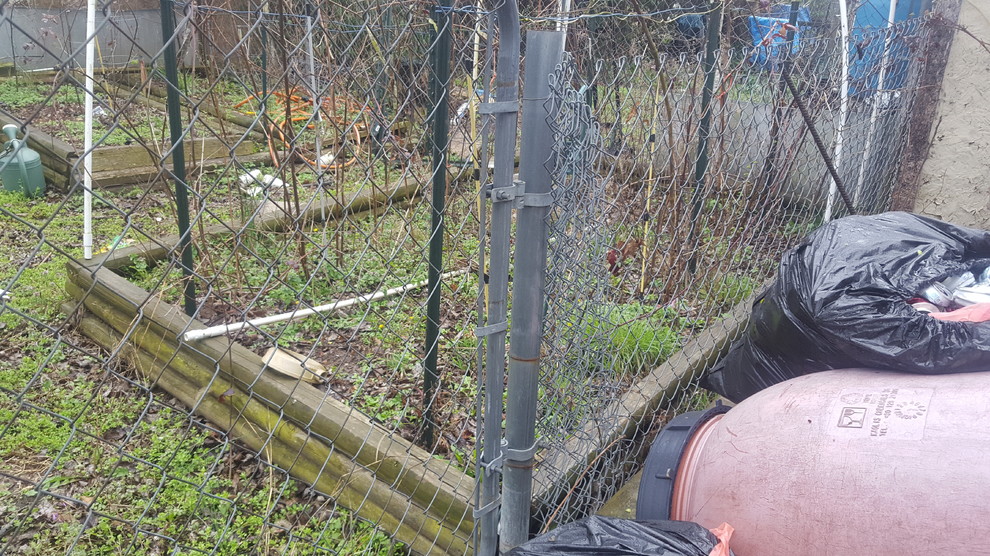 Overgrown raised beds
