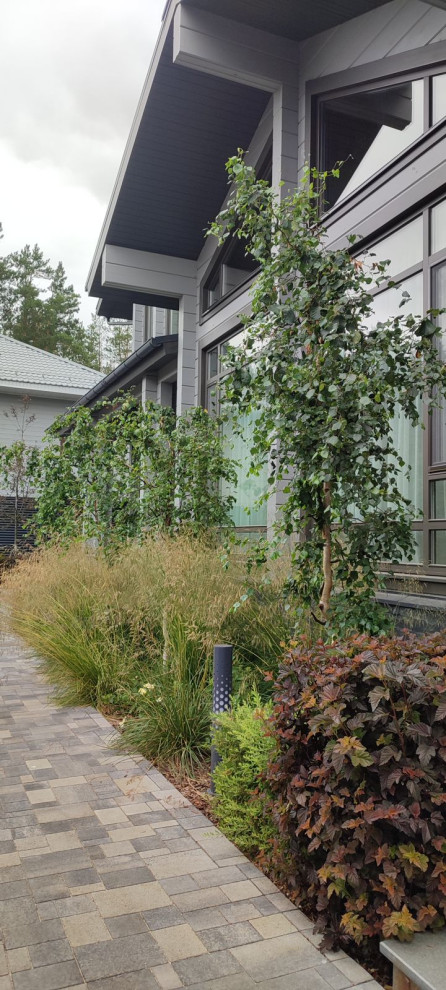 Дыхание севера