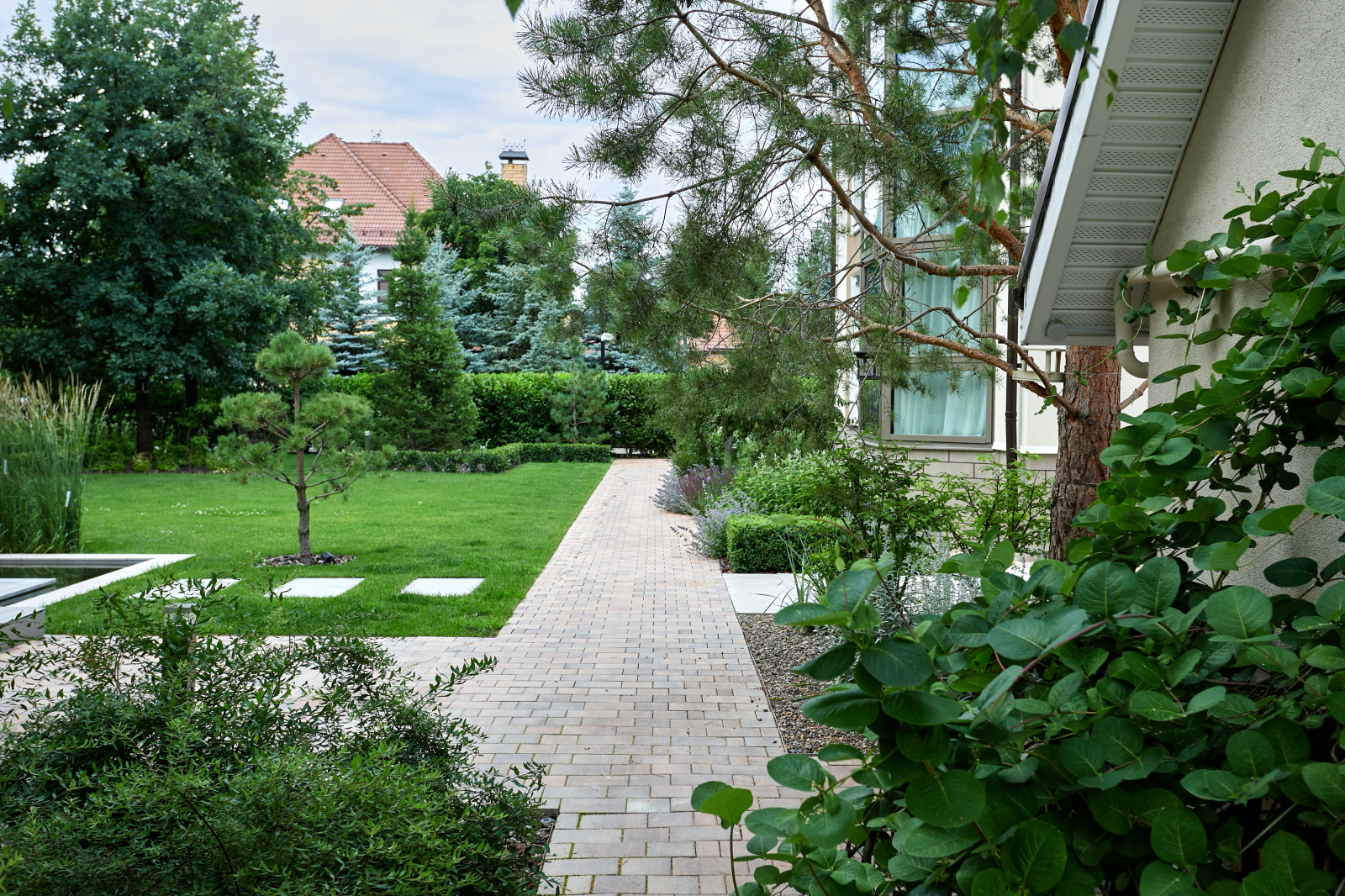 Чистые линии