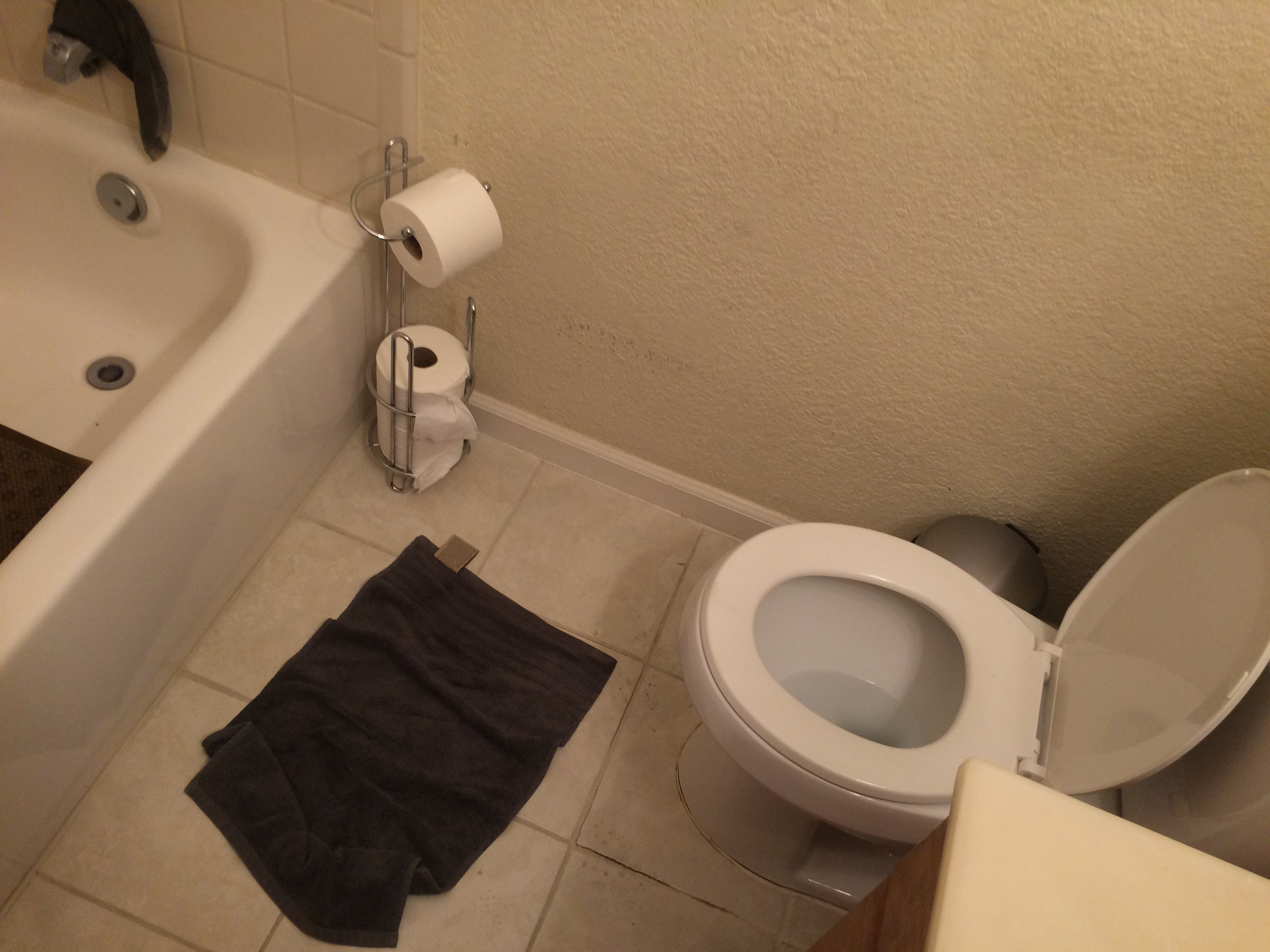 BEFORE PIC - Non-code compliant toilet & low height tub