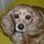 nena_giese