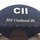 CII: Custom Interiors Inc.