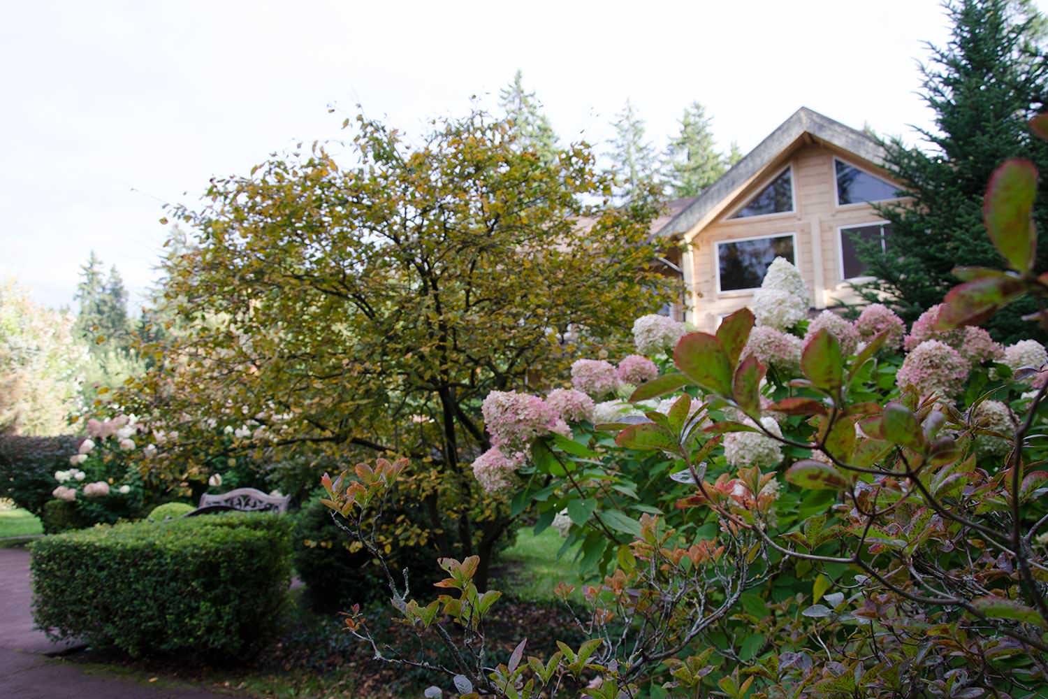 Ландшафтный сад КП "Новоглаголево", Киевское шоссе