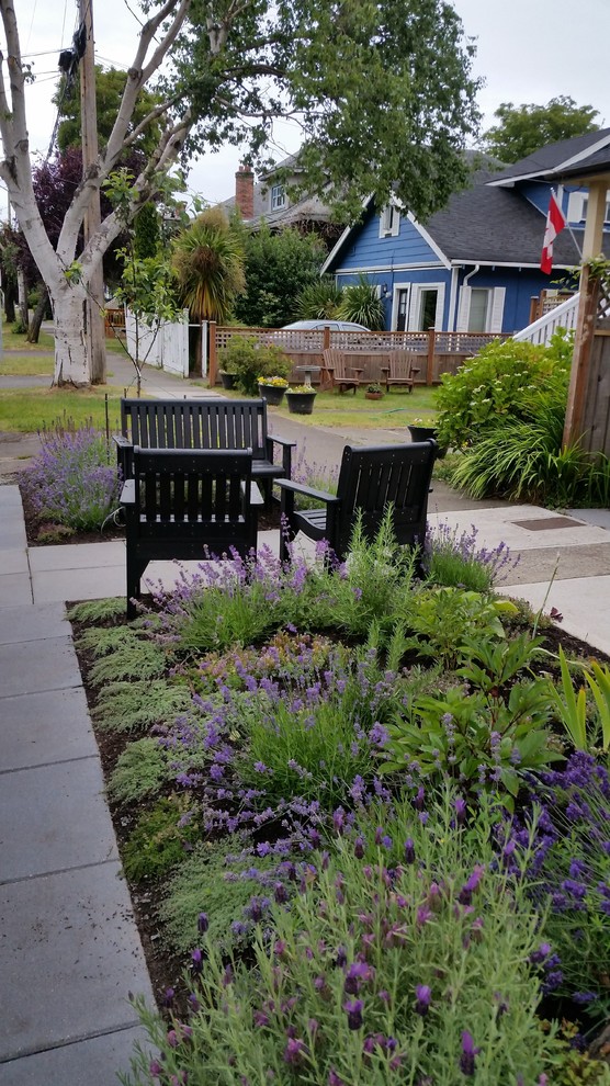 Design ideas for a small transitional drought-tolerant and full sun front yard concrete paver garden path.