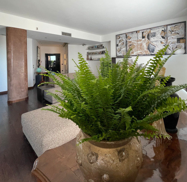 Casa Santomaso contemporary-living-room
