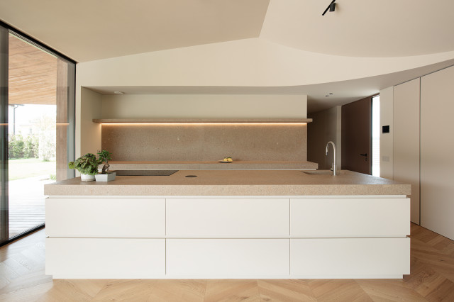 201_House with a pool contemporary-kitchen