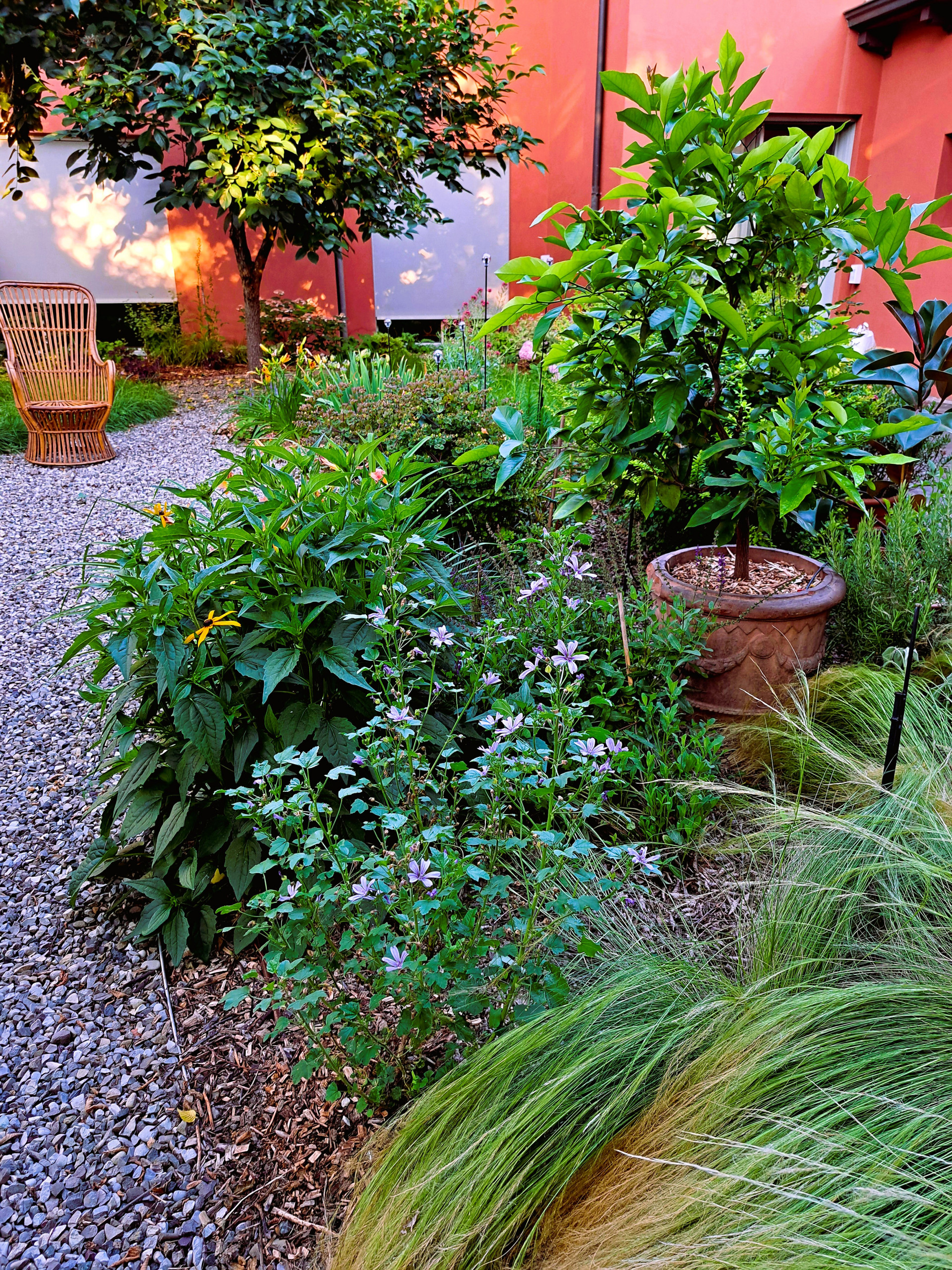 Giardino privato P.S.