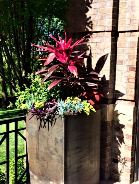 Container Plantings; Bold Spring and Summer