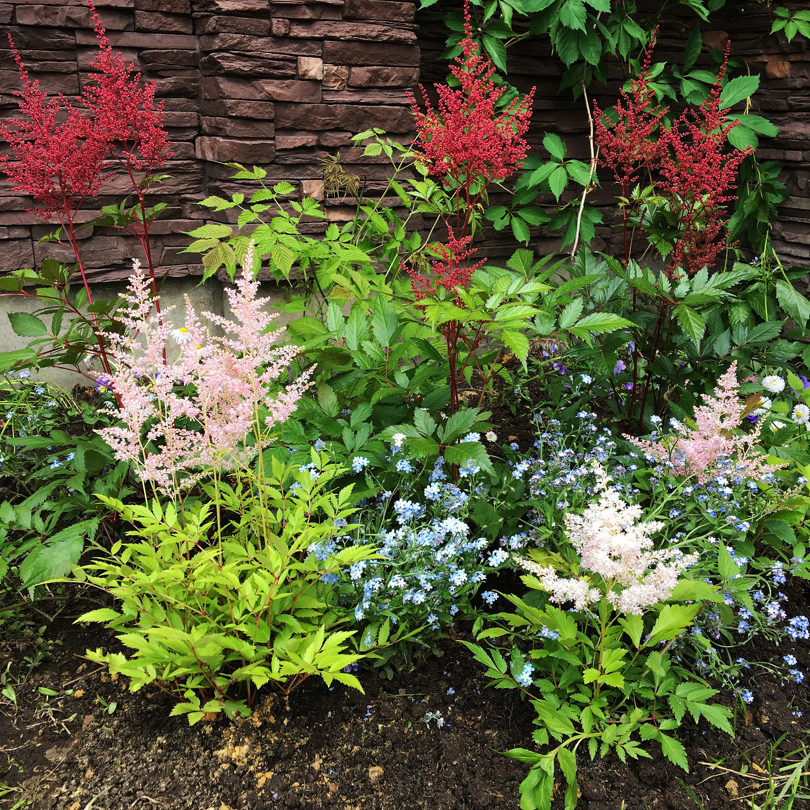 Терраса в Новых Вешках