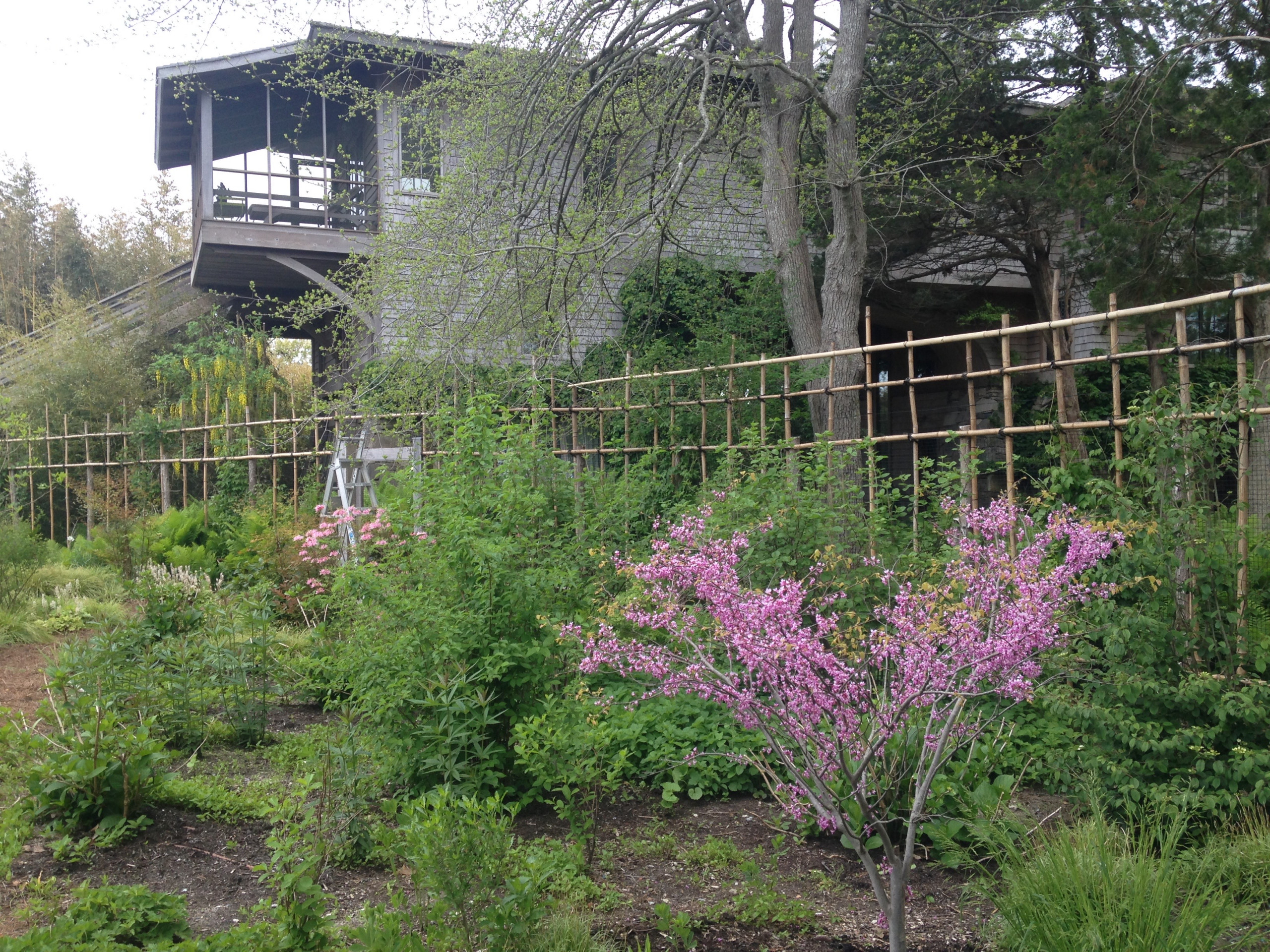 East Hampton, NY - Revegetation Design and Installation