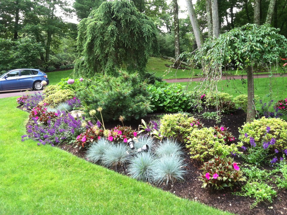 Design ideas for a large mediterranean front yard full sun formal garden for spring in New York with a garden path and gravel.