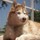 webuser_68637