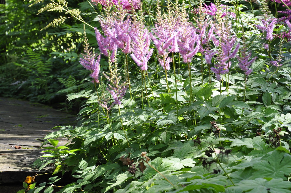 кп. "Архангельское" - Уход за садом - 100% качество!