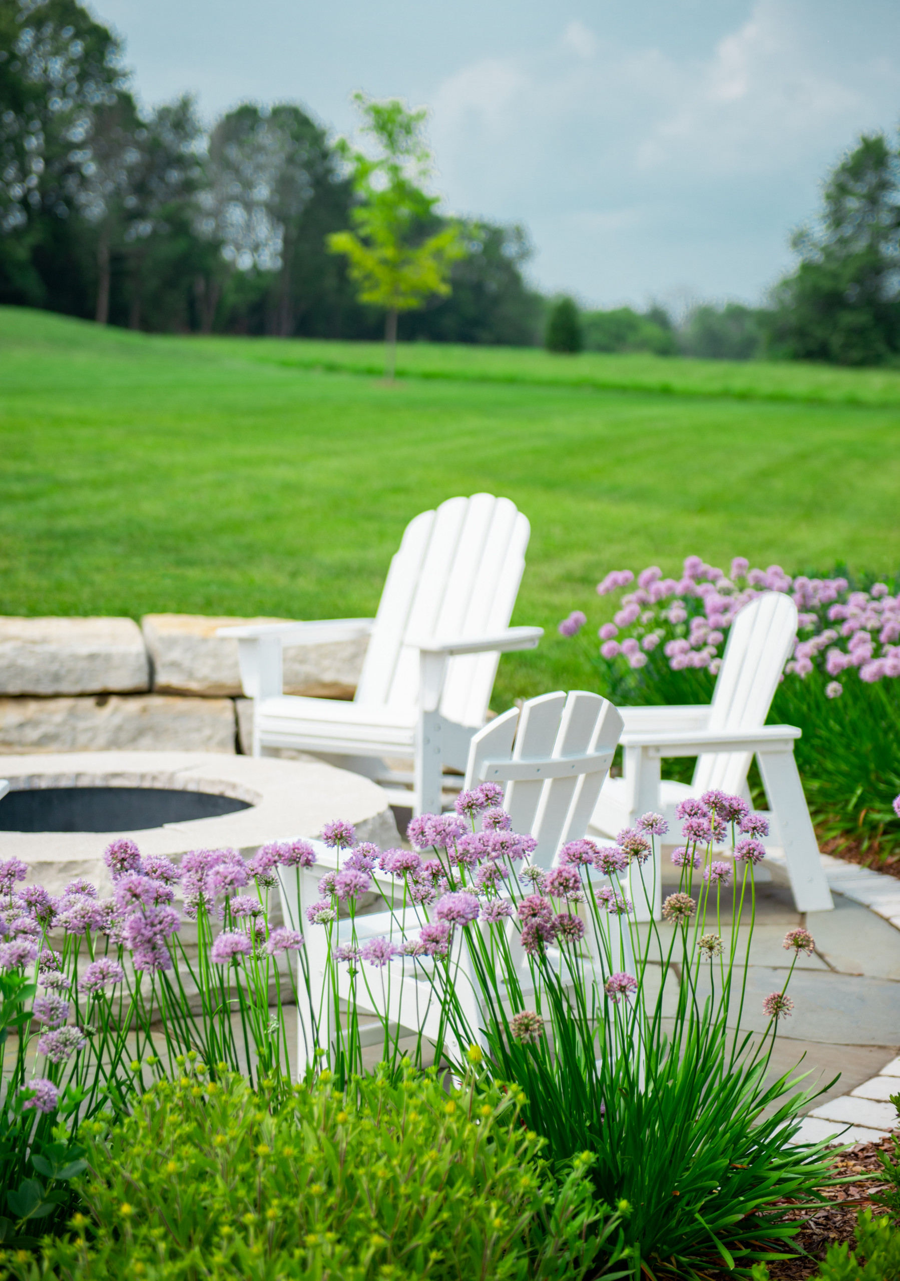 Transitional Landscape - Mequon, WI