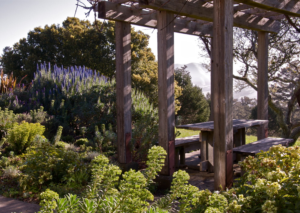Design ideas for a traditional backyard garden in San Francisco.