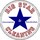 Big Star Cleaning LLC