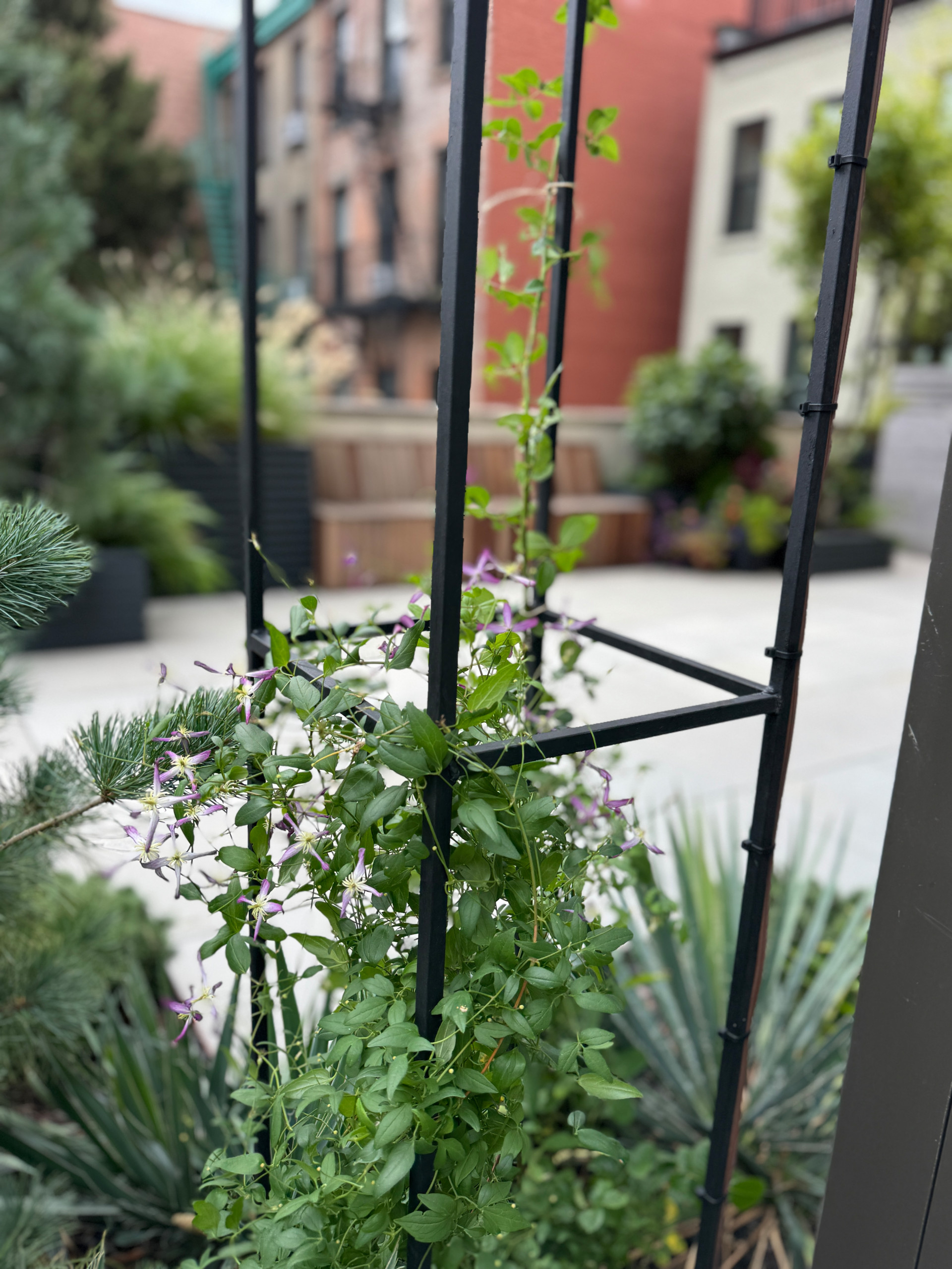 Carroll Gardens Rooftop Terrace