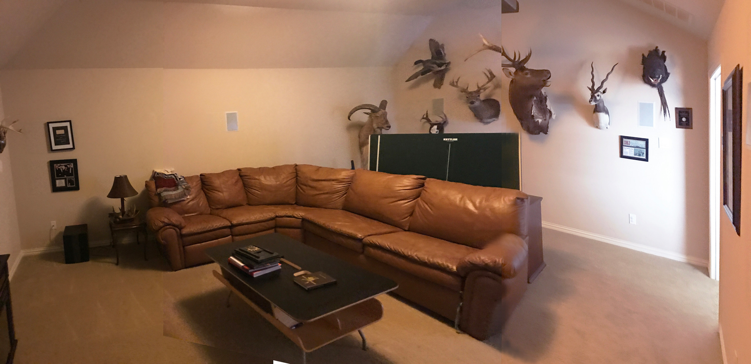 Rustic Luxe Man Cave (Before)