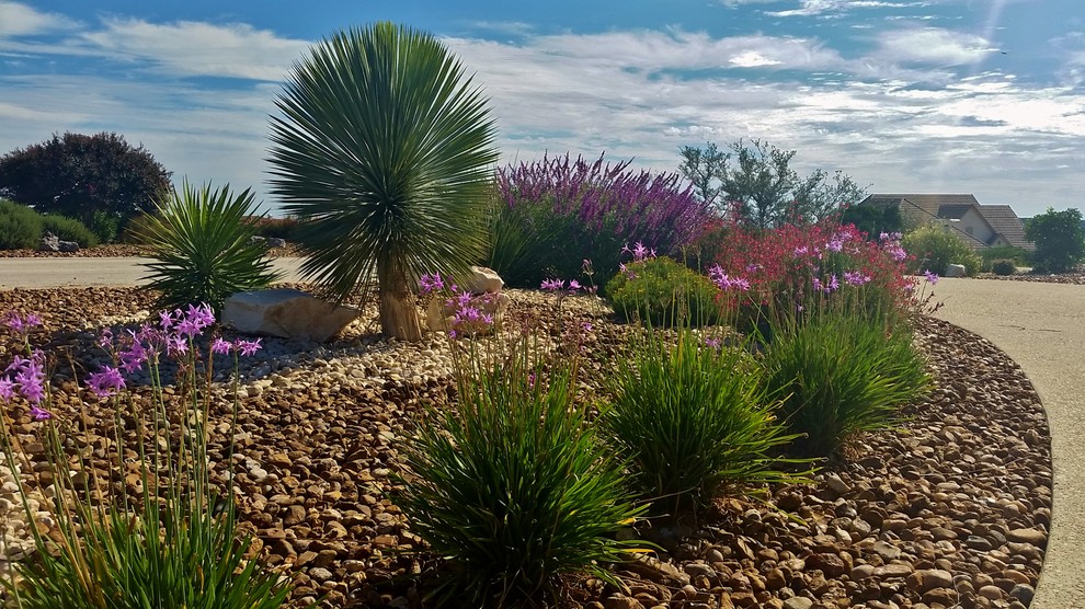 This is an example of a mid-sized country front yard full sun xeriscape for summer in Austin with gravel.