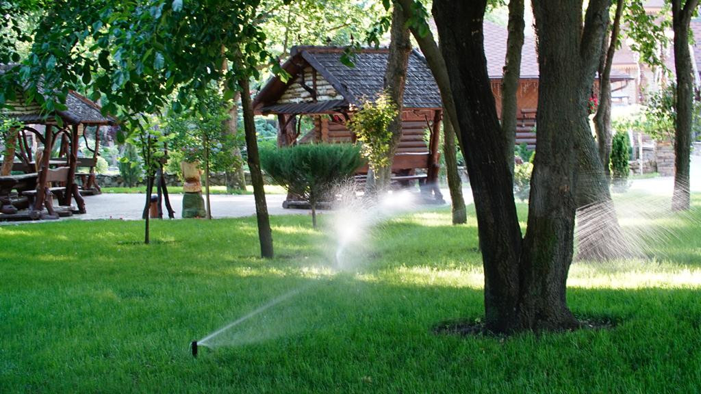 Парк Лога (Ростовская область)