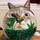 farah_khan16