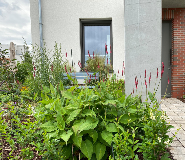 Reihenhaus in Berlin-Karlshorst garden