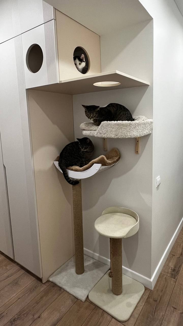 Трехкомнатная квартира в с природными оттенками