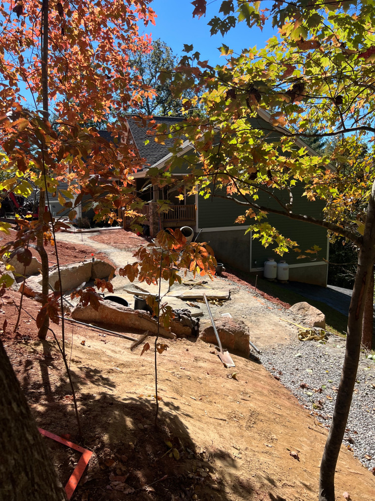 An Artist and her Front Yard