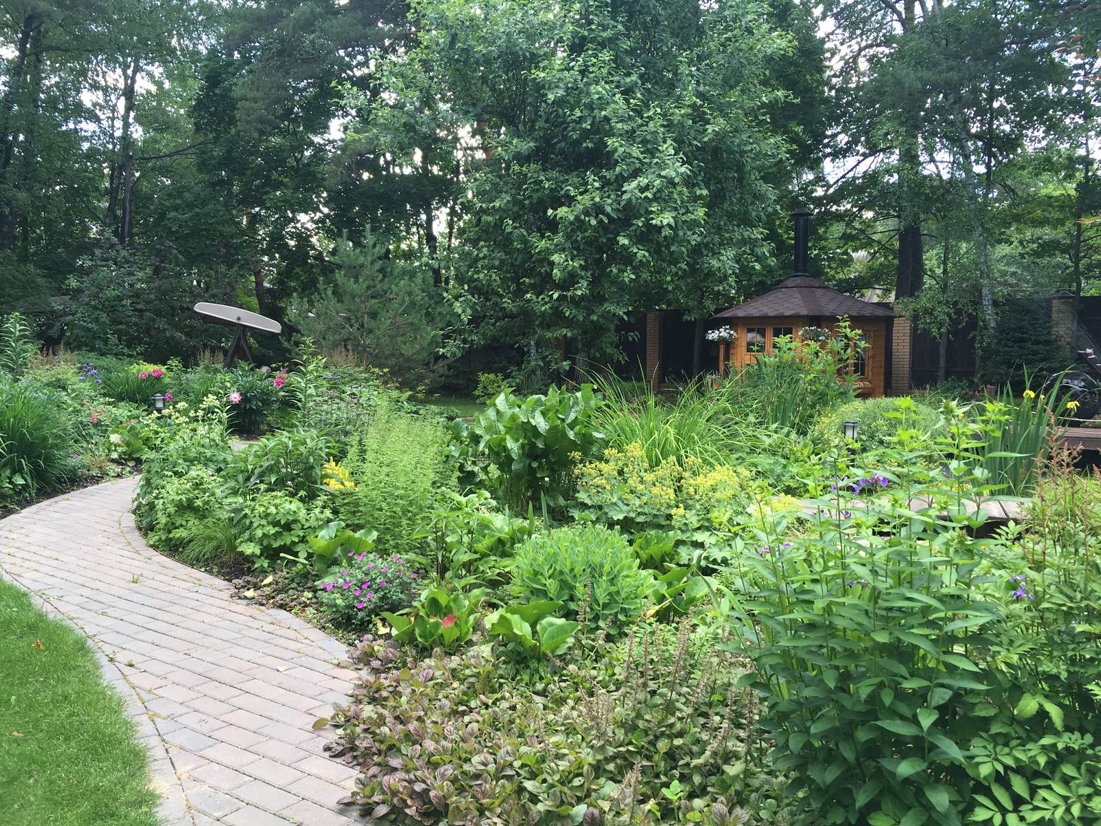 Белкин сад. Лето 2019