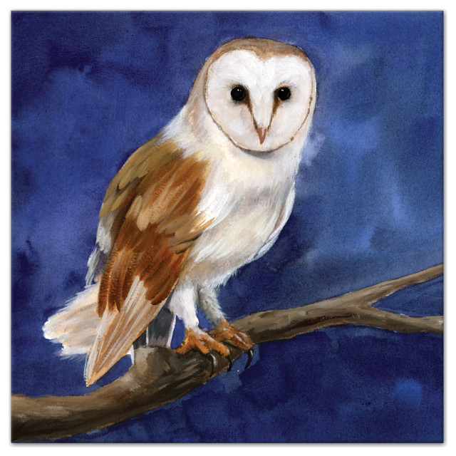 Owl On Blue 30 x 30 Canvas Wall Art, 30 x 30 Rustic Prints And