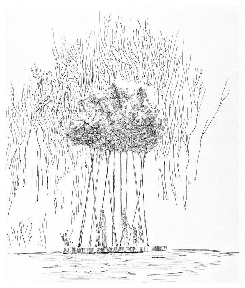 Концепции/ конкурсы