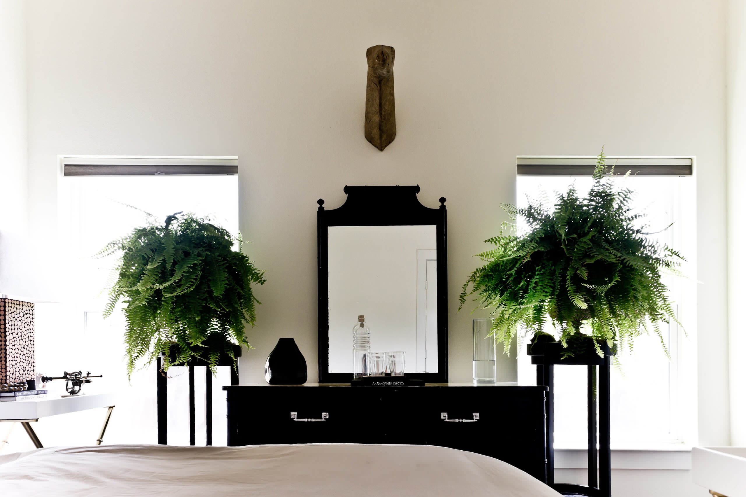 hanging fern plant Hanging Boston Fern – flower arrangement | Erlanger, KY main image 0