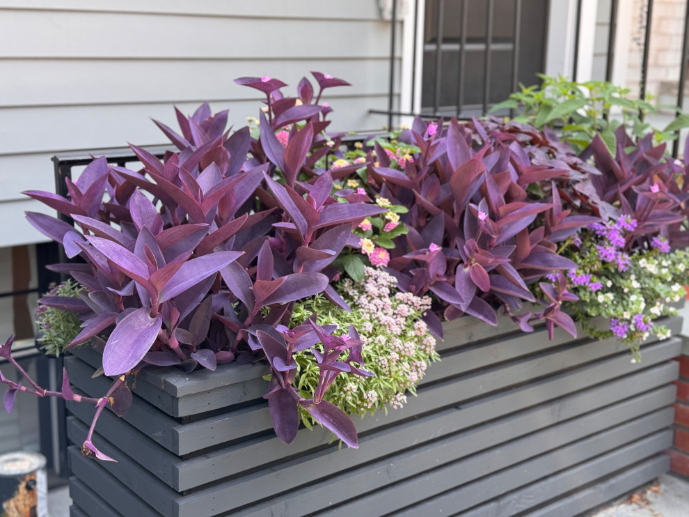Planters