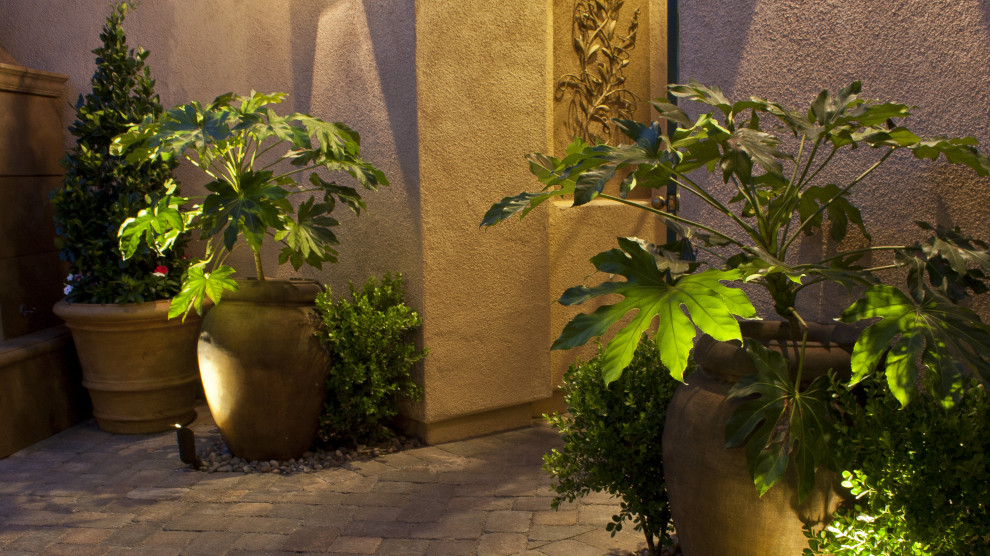 Idee per un piccolo giardino xeriscape classico in ombra in cortile con un giardino in vaso e pavimentazioni in cemento