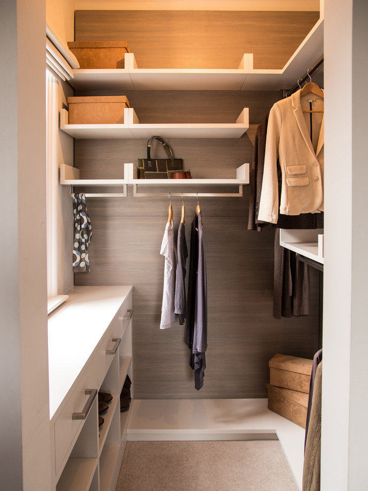 This is an example of a contemporary storage and wardrobe in Other with open cabinets, white cabinets, carpet and beige floor.
