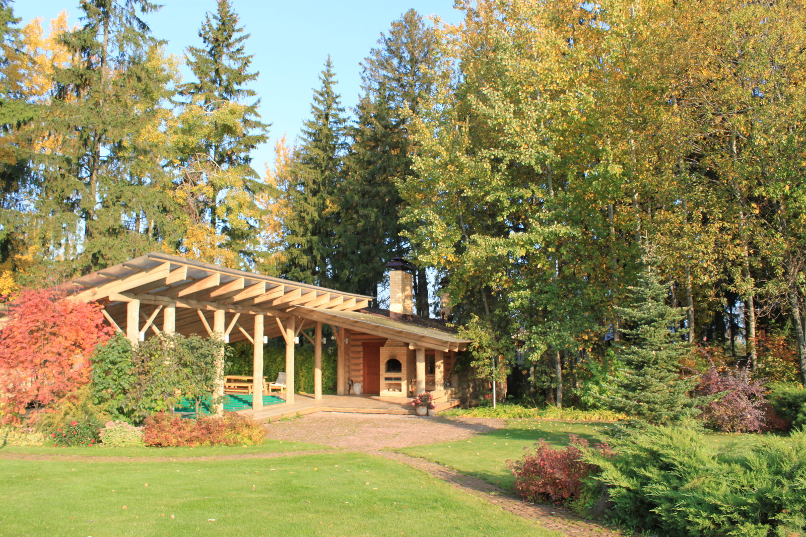 Лесная жизнь