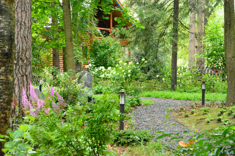 Заповедный бор