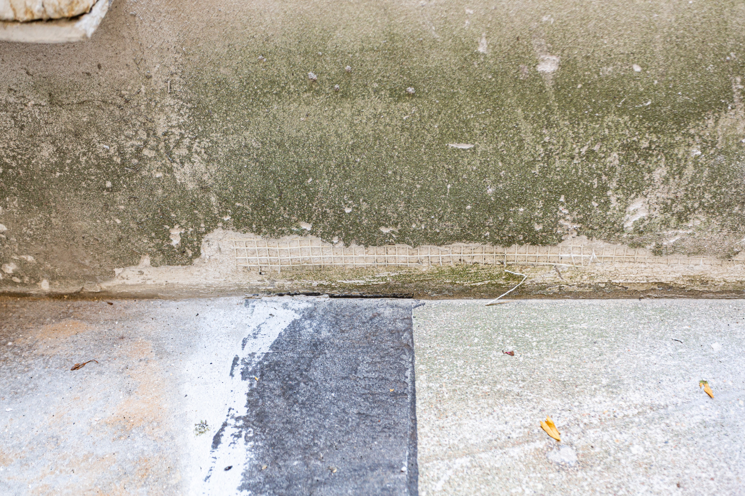 Paris 19 – De l’ancien au contemporain : une rénovation sur-mesure"