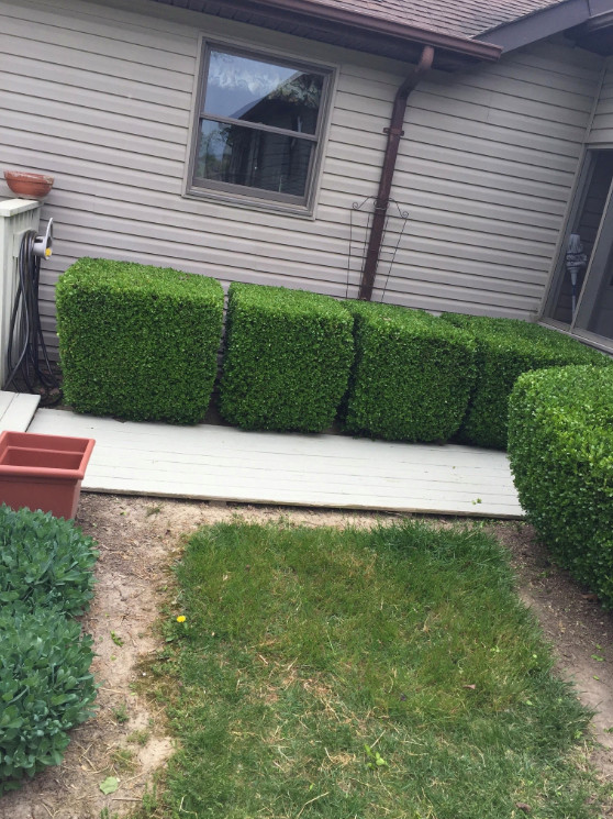Some of our recent projects