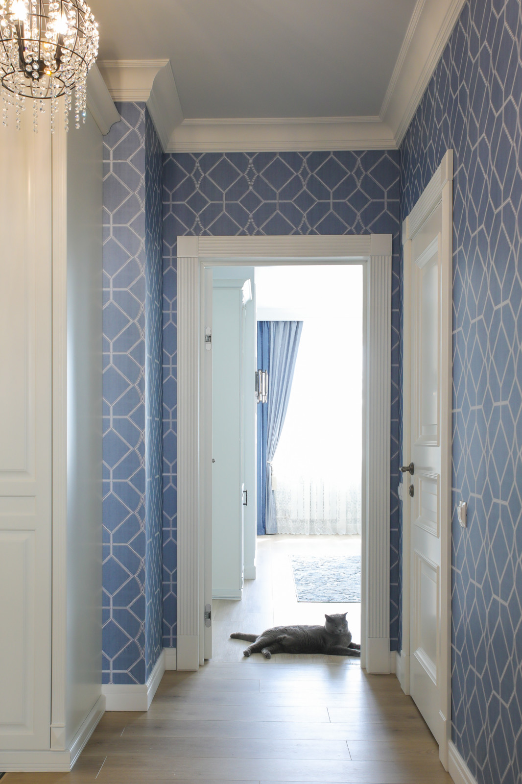 Все оттенки синего