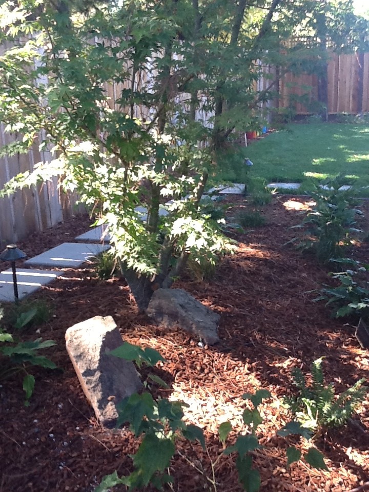 Design ideas for a landscaping in San Francisco.
